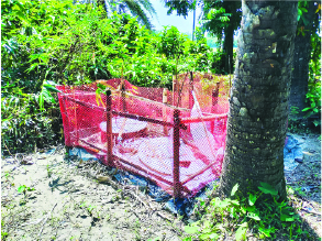 Image of মো: আবদুর গনি